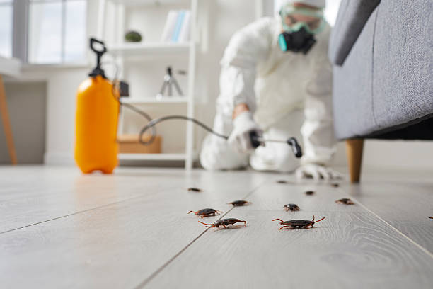 Commercial Kitchen Cockroach Control in Massapequa Park